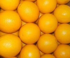 Oranges from Egypt
