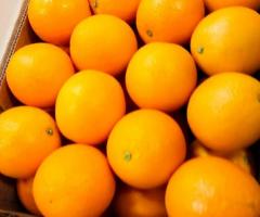 Oranges from Egypt
