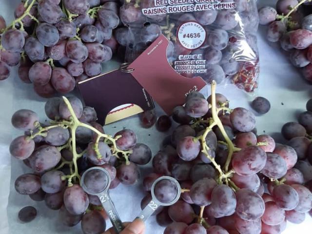 Red Global Grapes from Chile