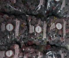 Red Global Grapes from Chile
