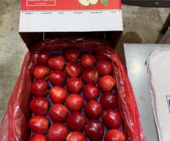 Gala APPLES from Chile